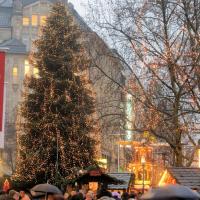 5067_1448 Tannenbaum auf dem Weihnachtsmarkt - Lichterketten beleuchten Hamburg. | 
